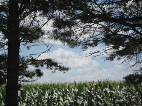 Iowa cornfields by mpsb on DeviantArt