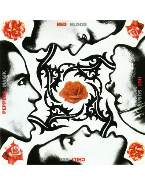 Red Hot Chili Peppers Blood Sugar Sex Magic Vinyl Pop Music