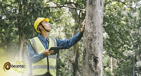 Qué es un Inventario Forestal Basotec