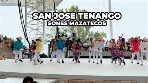 Sones Mazatecos Increible Presentacion De San Jose Tenango