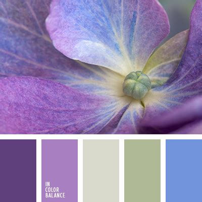фиолетовый цвет | IN COLOR BALANCE