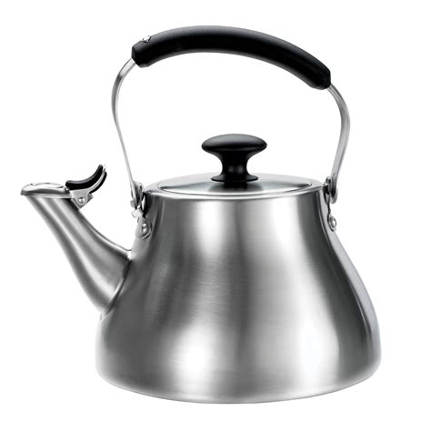 Best the stainless steel tea kettle - The Best Home