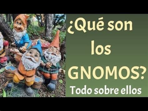 Qu Tan Populares Son Los Gnomos En Gnomos Y Duendes