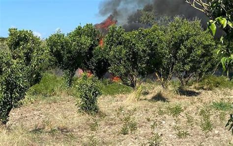 Precipita Aereo Da Turismo Due Morti Sky TG24