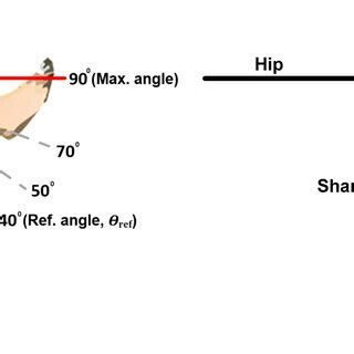 Knee extension body mechanics: (a) knee extension; (b) knee extension ...