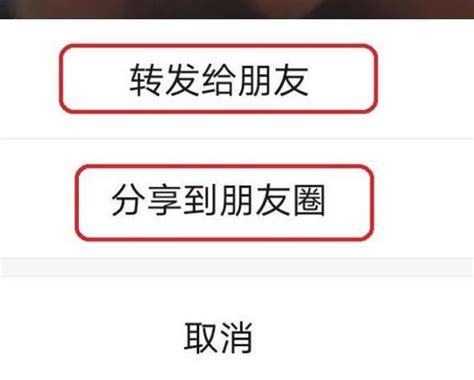 怎样将微信视频号内容转发到朋友圈？将微信视频号内容转发到朋友圈的方法 软件教程 浏览器家园