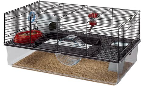 A Complete Dwarf Hamster Care Guide, From Feeding To Housing And More