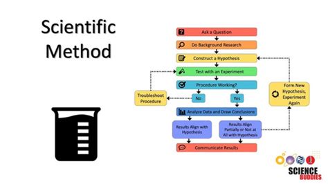 Steps Of The Scientific Method