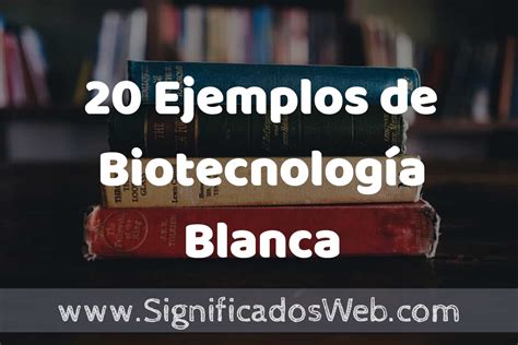 20 Ejemplos de Biotecnología Blanca Tipos Definición y Análisis