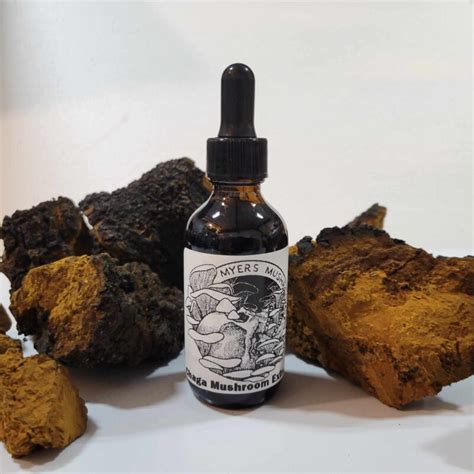 Fungi Fusion Mushroom Tinctures Myers Mushrooms