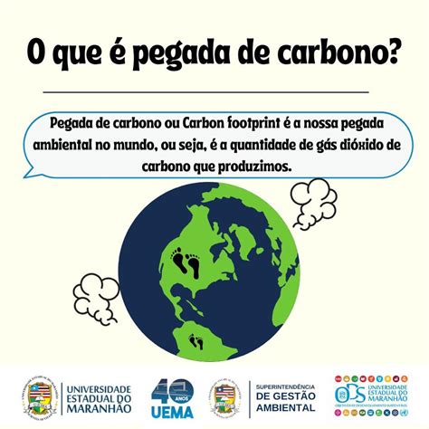 Aga Superintend Ncia De Gest O Ambiental Pegada De Carbono