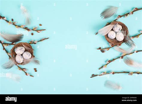 Easter Holiday Background Nest With Small Eggs Branches Of Pussy Willow Greeting Card Spring