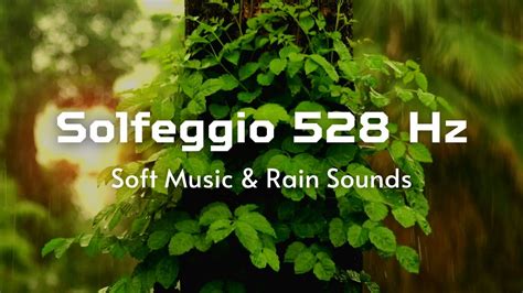 DNA Repair Music 528Hz Solfeggio Frequency Rain Sounds Cell