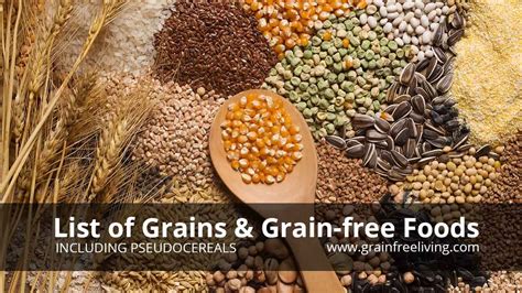 List of Grain and Grain-Free Foods | Grain Free Living