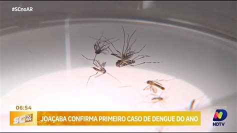 Joa Aba Registra Primeiro Caso De Dengue Em