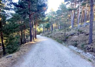 Ruta Cercedilla Los Miradores De Los Poetas Cercedilla