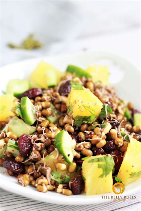 Sprouted Mung Beans Salad Recipe Besto Blog