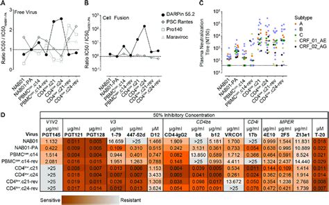 Cd4 Low Adapted Envelopes Show Heightened Sensitivity To Inhibitors