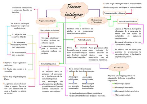 Mapa Conceptual Técnicas Histológicas Warning Tt Undefined