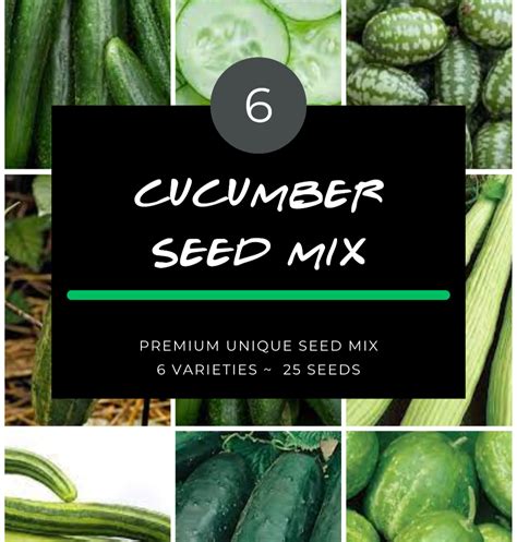 Cucumber seed mix. | Herbs and Spices Australia