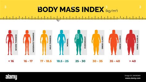 BMI classification chart measurement woman colorful infographic with ...