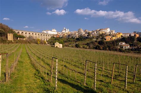 Dove Mangiare Ai Castelli Romani I Migliori Ristoranti Gambero Rosso