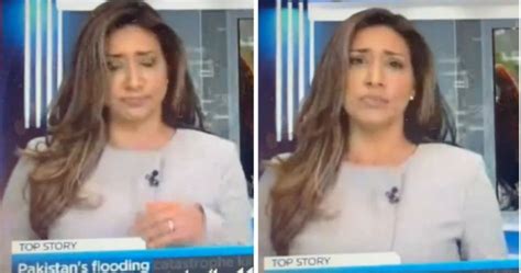 Farah Nasser News Anchor Swallows Fly Watch Video In 2022 News