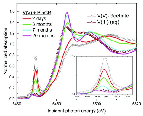 The V K Edge XANES Spectra Of The Solids In The Biogenic Green Rust