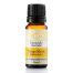 Mango Myrtle Essential Oil Essentially Australia