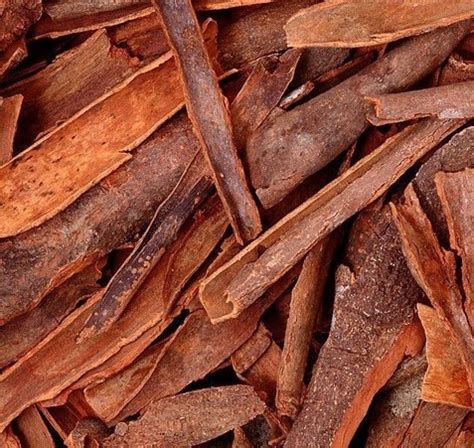 Cinnamomum aromaticum Bark Cassia Cinnamon Bark | ZHONG WEI ...