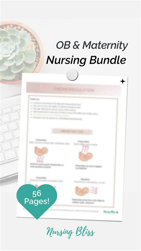 Ob Nursing Student Cheat Sheets Maternal Newborn Nursing Digital