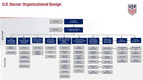 Chi Ti T H N V Mlb Organizational Chart Cdgdbentre Edu Vn