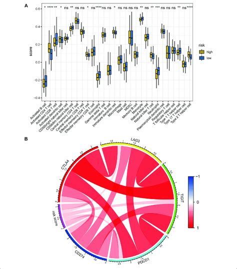 Correlation Between The Hypoxia Related Lncrna Signature And Tumor