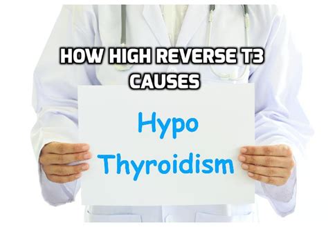 What Causes High Reverse T3 (RT3) – a Major Driver of an Underactive Thyroid? – Anti-Aging ...