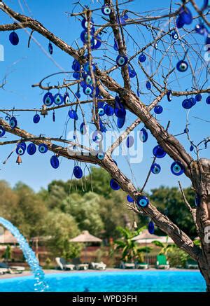 Nazar Amulette Oder Blaue Augen Auf Einem Baum In Pigeon Valley