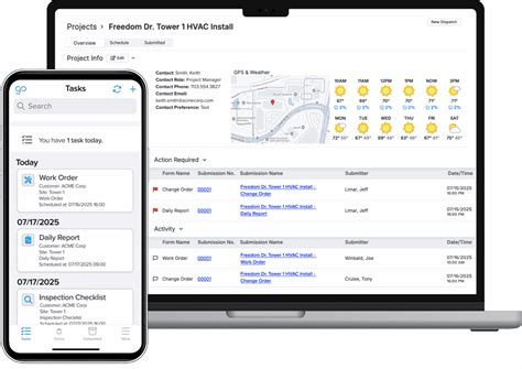 gocanvas real data systems