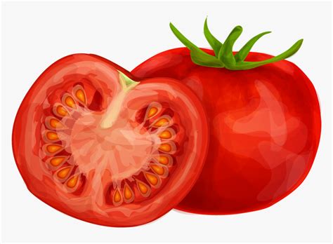 Tomato Clipart Png Image Tomato Clipart Transparent Png