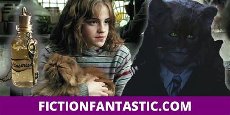 29 Odd Facts About Hermione Granger Traits Quotes And More Fiction