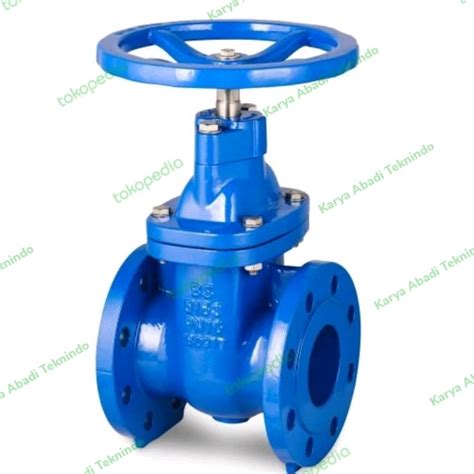 Jual Gate Valve Cast Iron 5 Inch Flange Jis 10k Stop Kran Valve Non