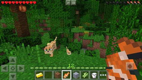 Minecraft Pocket Edition V0 15 0 Build 2 Apk Android ~ Custom Droid Rom