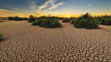 Climate change impact on drought intensification - Tehran Times