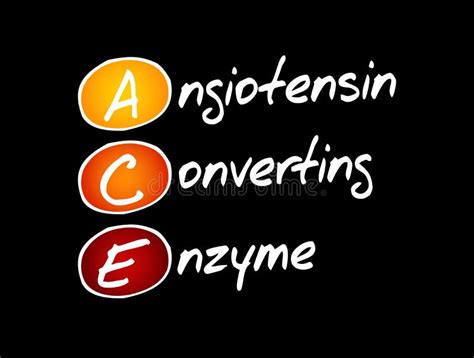 ACE - Angiotensin Converting Enzyme Acronym Stock Illustration - Illustration of epithelial ...