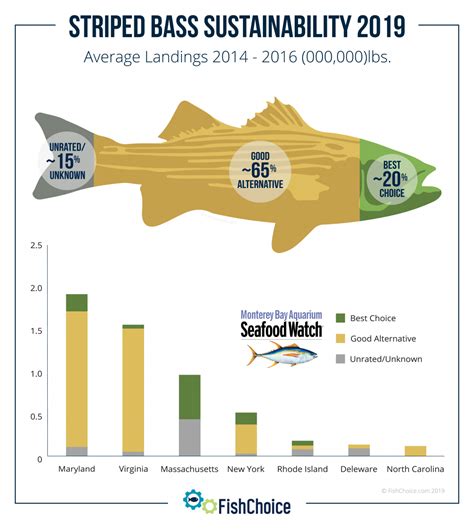 Sea Bass Nutrition Facts Cooked