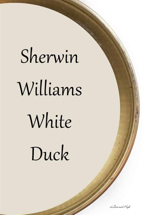 Sherwin Williams White Duck Paint Color Review