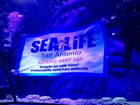 SEA LIFE aquarium sets long-awaited grand opening date