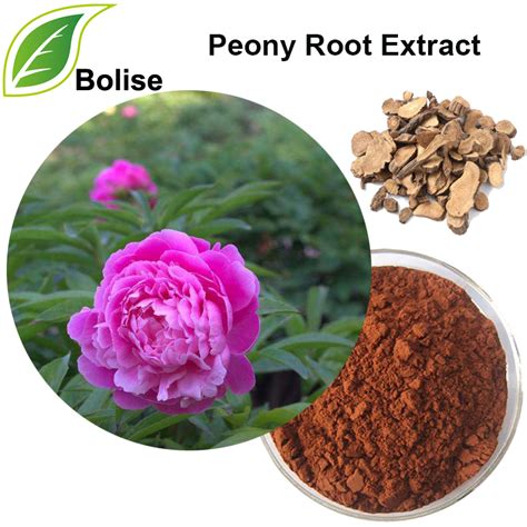 Peony Root Extract Moutan Root Extract ซัพพลายเออร์ผู้ผลิตจาก Bolise