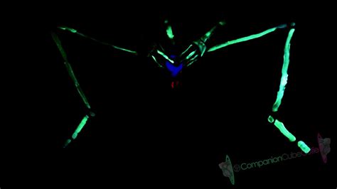 Blacklight Skeleton Masturbation And Cum Free Porn Videos YouPorn