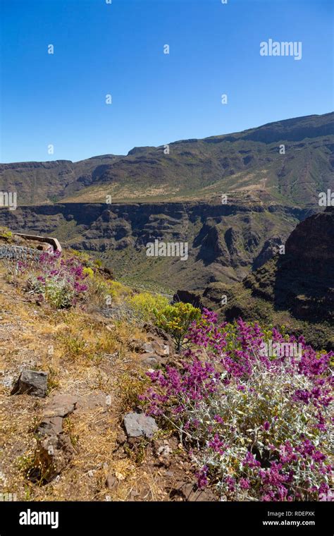 Hiking On Gran Canaria Hi Res Stock Photography And Images Alamy