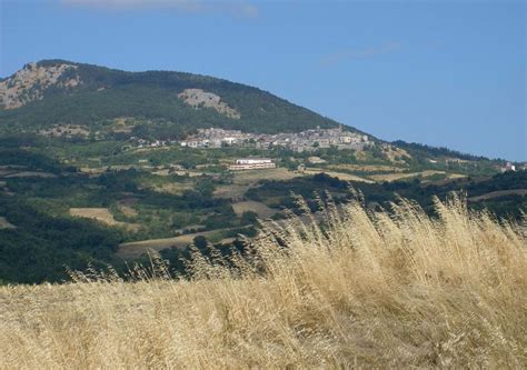 Castellazzara Citt Del Tartufo