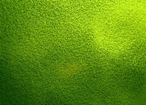 [100+] Green Texture Wallpapers | Wallpapers.com